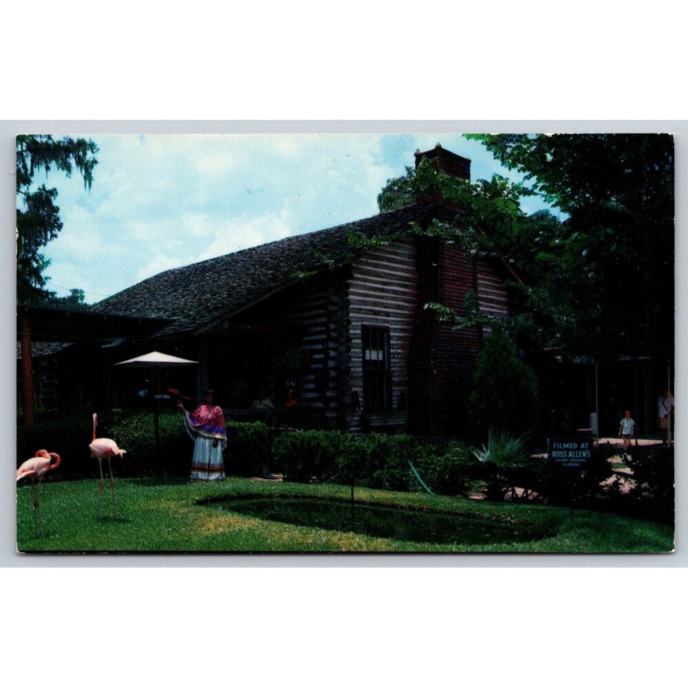 Vtg Postcard Silver Springs FL Ross Allen Pioneer Log Cabin Gift Shop Flamingos